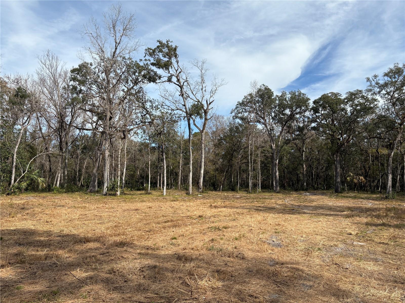This 19.2-acre parcel, tucked away privately off Lake Lindsey Rd, offers a fantastic opportunity to own and develop a piece of tranquil Florida countryside. The property, identified by Parcel Key #1354420, has been carefully prepped for future use. The land has been extensively cleared with forestry mulching, ensuring easy navigation and a beautiful natural setting. A new driveway has been constructed with 2 culverts, fill dirt, and DOT road base, providing secure, year-round access. The owner has kept the property well-maintained, regularly bush-hogging the land, removing trees as necessary, and maintaining the driveway. Additionally, the homesite area has been graded, and landfilling was initiated, providing a solid foundation for future development.
This parcel is perfect for residential development, agriculture, or recreation. Its peaceful, private setting ensures seclusion while remaining conveniently close to major roadways. Don’t miss the chance to own this beautiful piece of Hernando County! Contact us today for more information or to schedule a viewing.