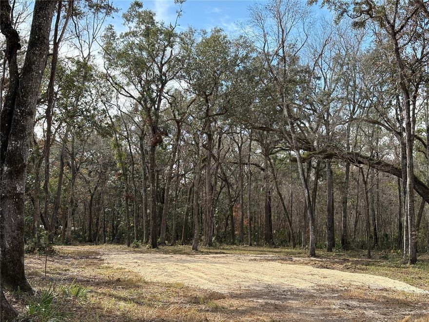 This 19.2-acre parcel, tucked away privately off Lake Lindsey Rd, offers a fantastic opportunity to own and develop a piece of tranquil Florida countryside. The property, identified by Parcel Key #1354420, has been carefully prepped for future use. The land has been extensively cleared with forestry mulching, ensuring easy navigation and a beautiful natural setting. A new driveway has been constructed with 2 culverts, fill dirt, and DOT road base, providing secure, year-round access. The owner has kept the property well-maintained, regularly bush-hogging the land, removing trees as necessary, and maintaining the driveway. Additionally, the homesite area has been graded, and landfilling was initiated, providing a solid foundation for future development. Tax parcel is R29-421-19-0000-0010-0010 *** Seller not interested in leasing the property or a lease option to purchase ****

This parcel is perfect for residential development, agriculture, or recreation. Its peaceful, private setting ensures seclusion while remaining conveniently close to major roadways. Don’t miss the chance to own this beautiful piece of Hernando County! Contact us today for more information or to schedule a viewing.