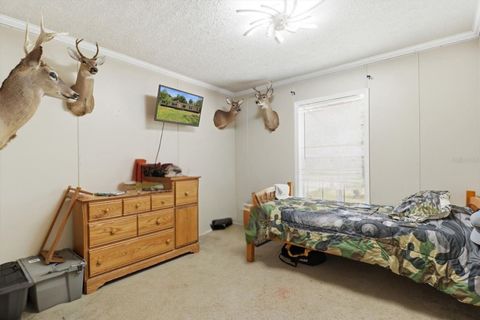 Tiny photo for 10382 W Killarney Street, Crystal River, FL 34428 (MLS # OM724306)