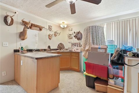 Tiny photo for 10382 W Killarney Street, Crystal River, FL 34428 (MLS # OM724306)