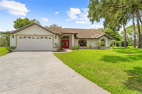 206 FOREST WOOD COURT SPRING HILL FL 34609