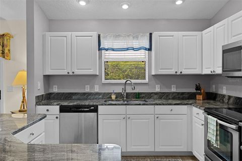 Tiny photo for 2583 Raintree Drive, The Villages, FL 32162 (MLS # G5106004)