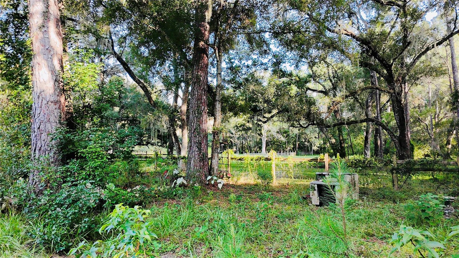 1066 CULBREATH ROAD