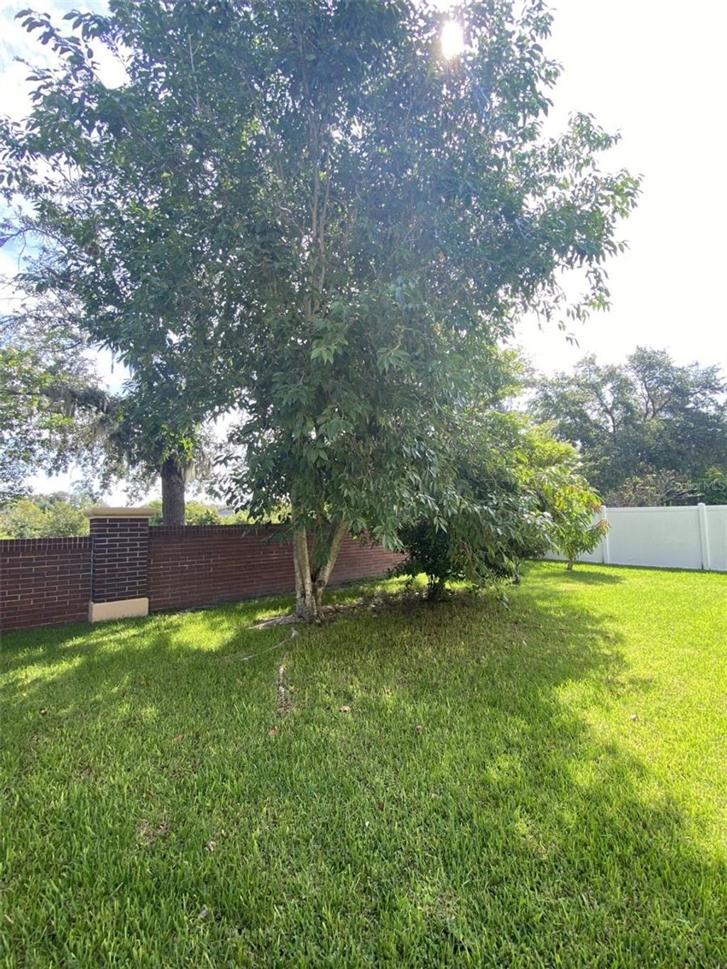 Photo of 32111 Brookstone Dr, Wesley Chapel, FL 33545 (MLS # TB8414037)