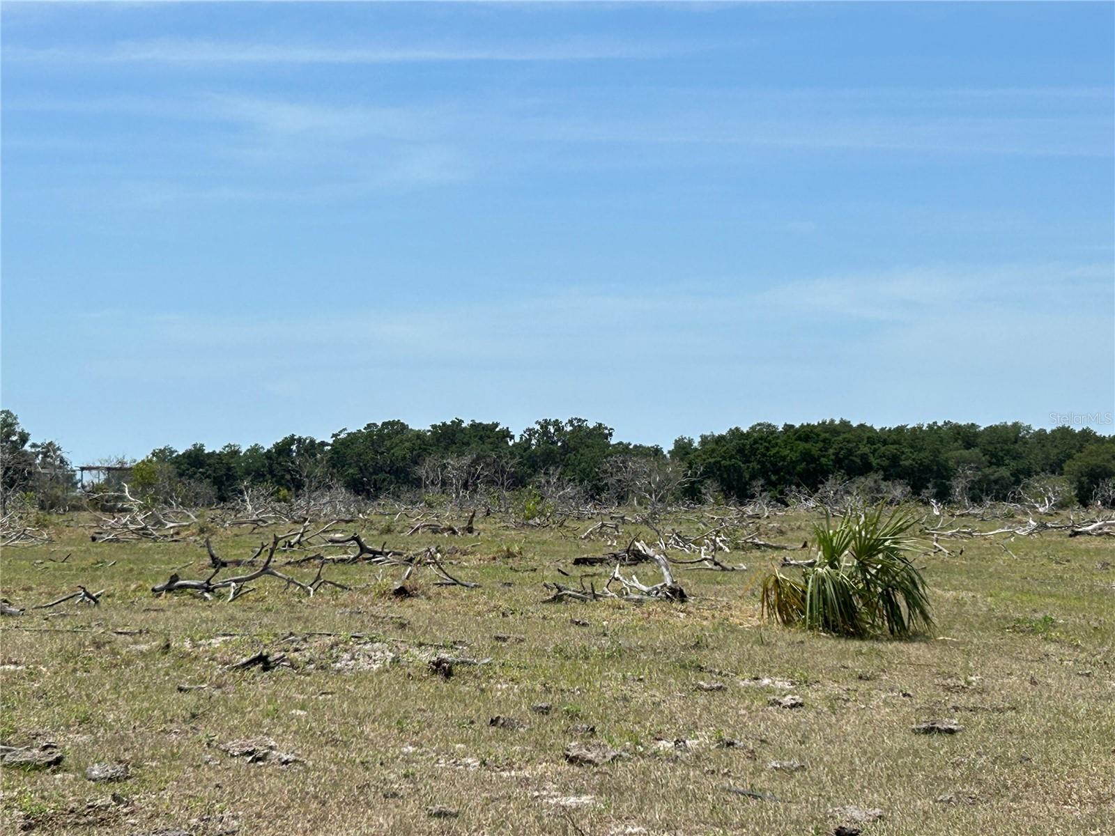 ACREAGE & UNREC - Land