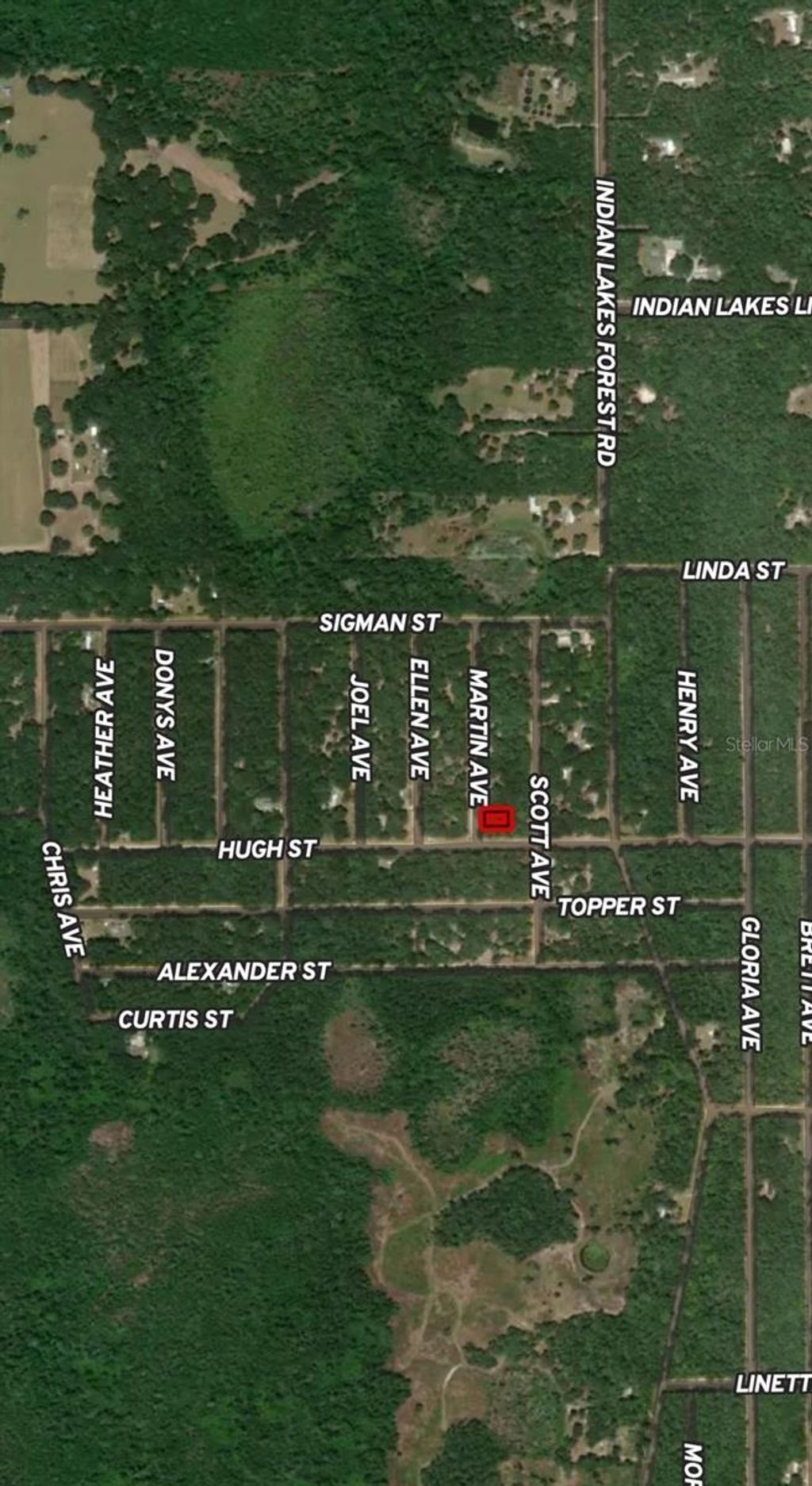 Photo of 13 Martin Avenue, Interlachen, FL 32148 (MLS # OM710436)