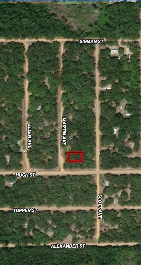 LOT 13 MARTIN AVENUE INTERLACHEN FL 32148