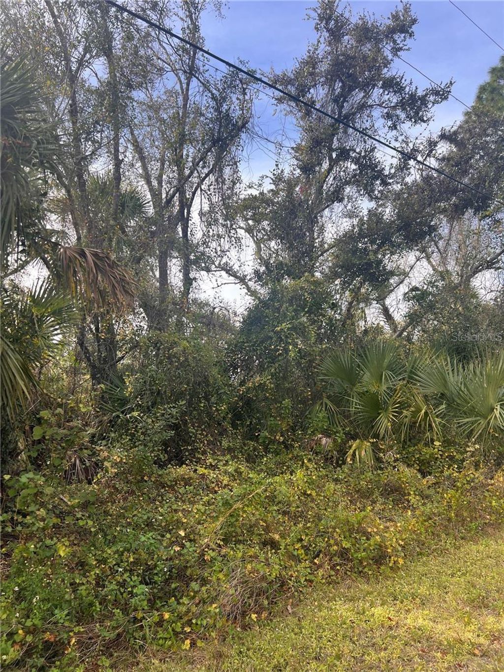 Photo of Firebrand Road, North Port, FL 34288 (MLS # A4673420)