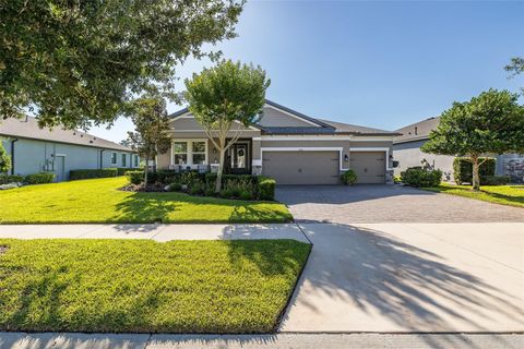 Photo of 3880 Mellon Drive, Odessa, FL 33556 (MLS # W7885923)