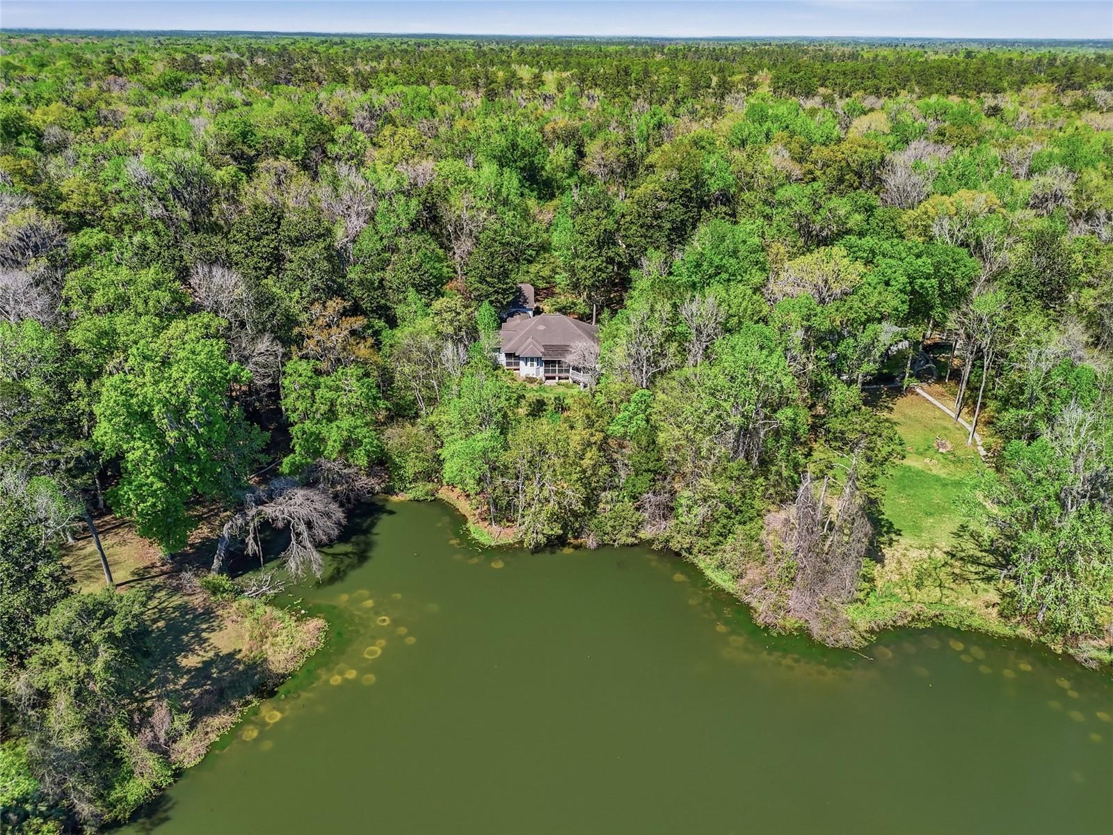 HAMMOCK THE - Residential