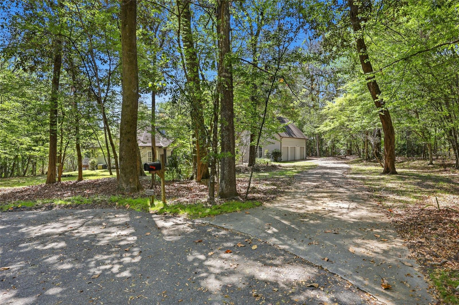 HAMMOCK THE - Residential