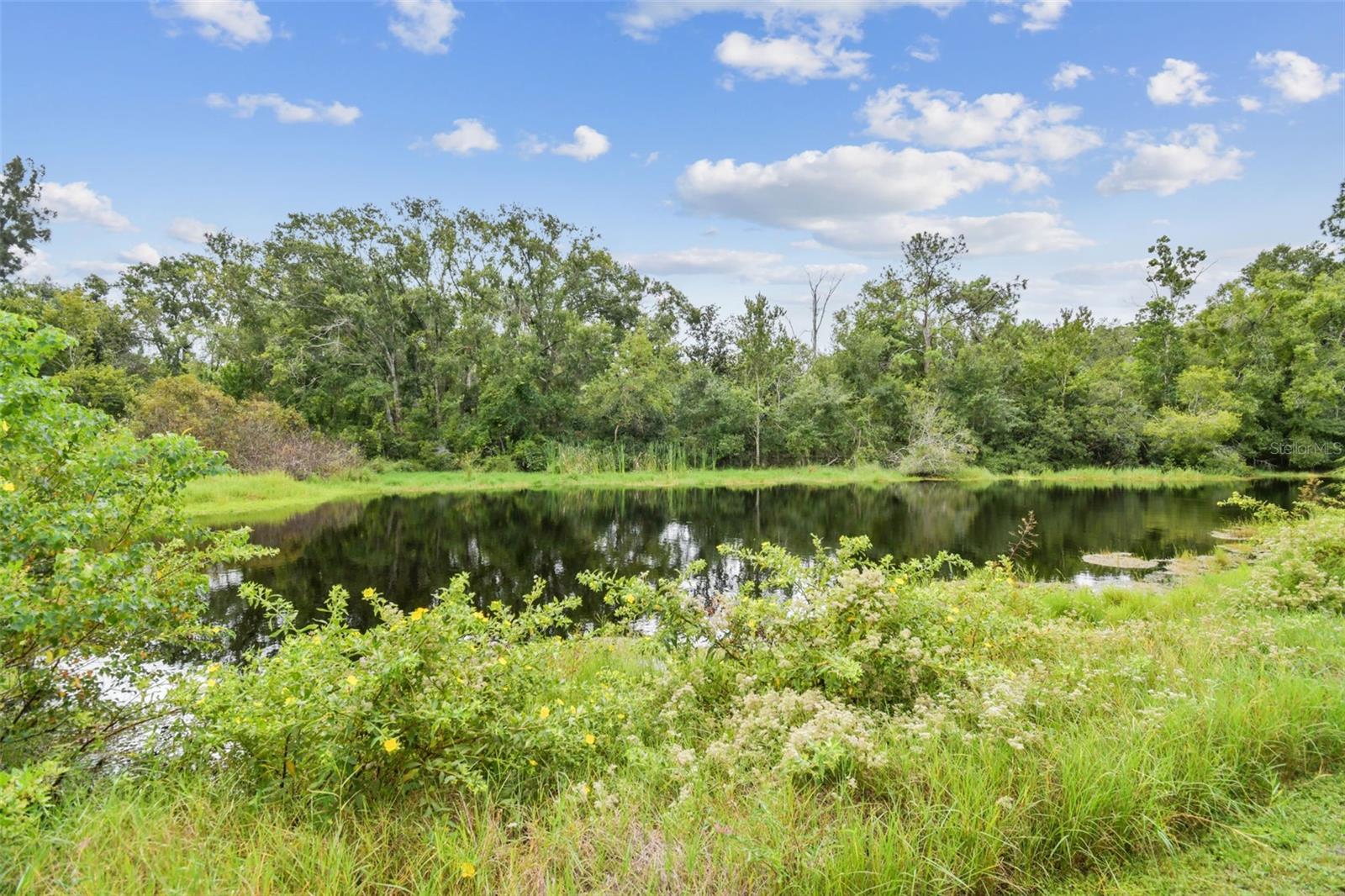 WENTWORTH - Residential