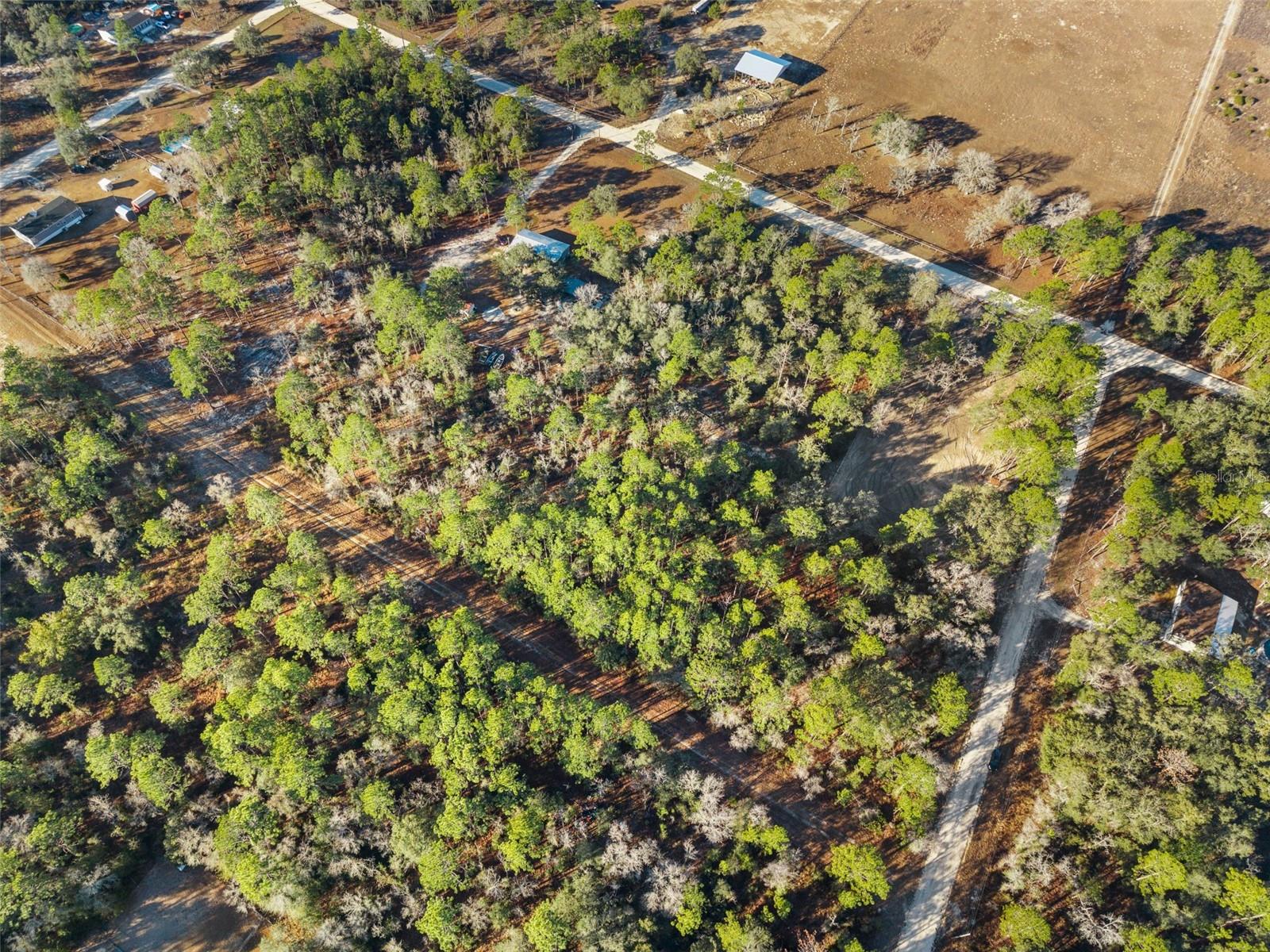 WILLISTON HLNDS - Land