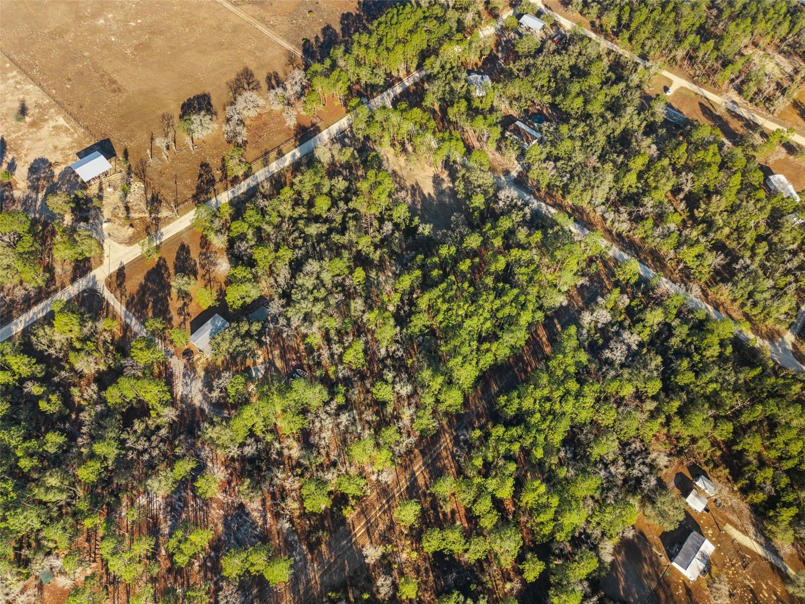 WILLISTON HLNDS - Land