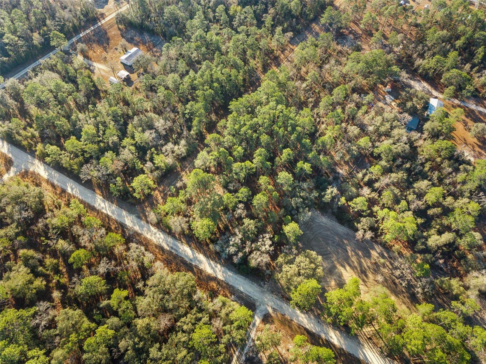 WILLISTON HLNDS - Land