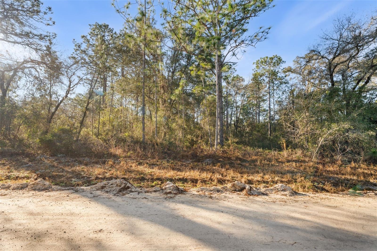 WILLISTON HLNDS - Land