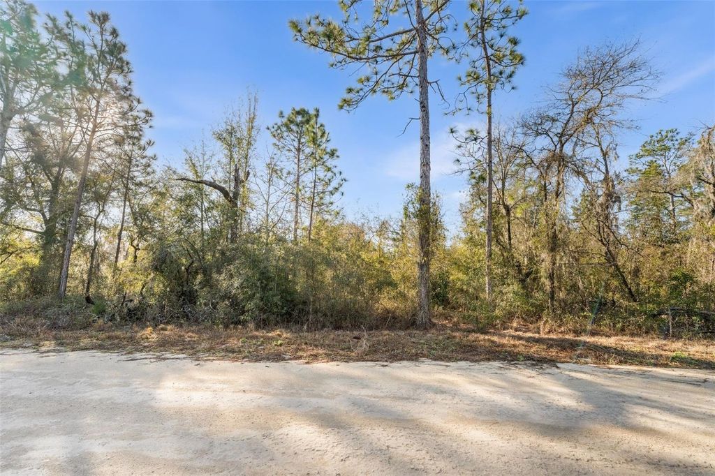 Photo of 0 NE 121st Avenue, Williston, FL 32696 (MLS # GC537233)