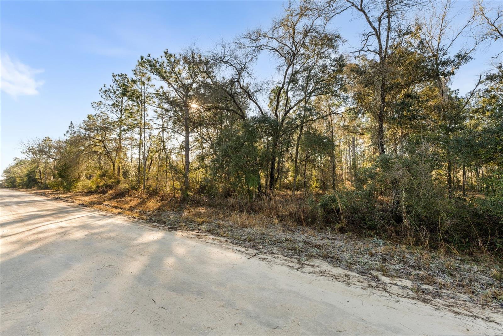 WILLISTON HLNDS - Land