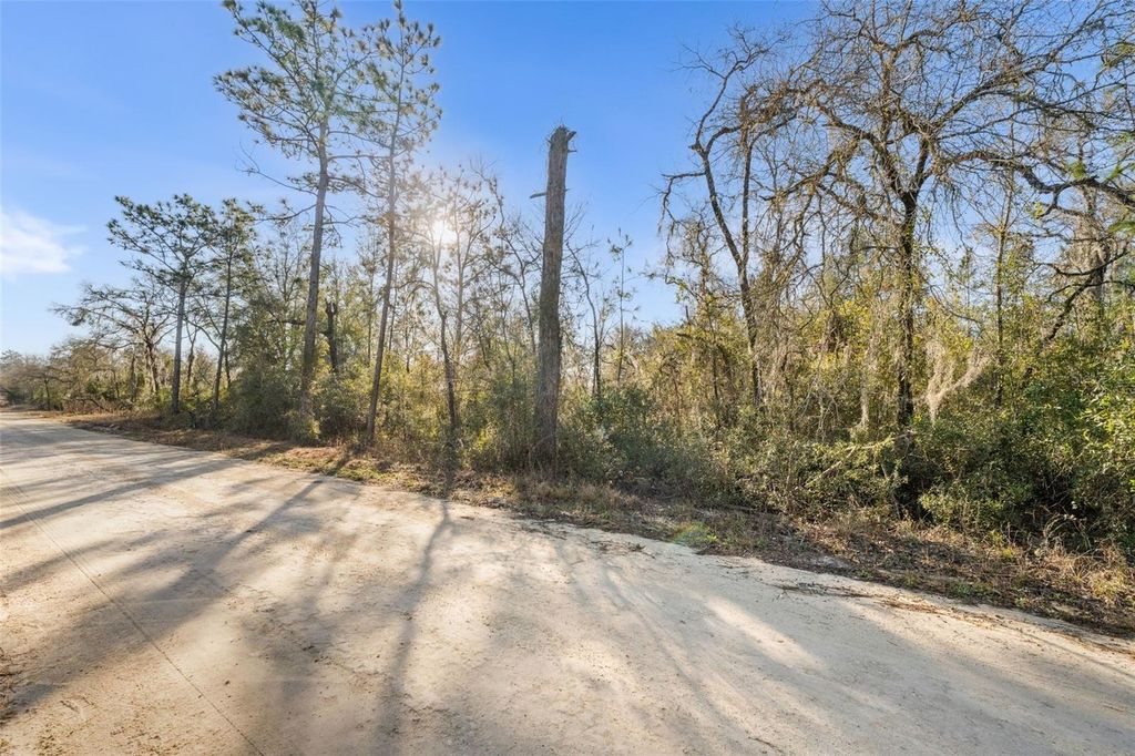 Photo of 0 NE 121st Avenue, Williston, FL 32696 (MLS # GC537233)