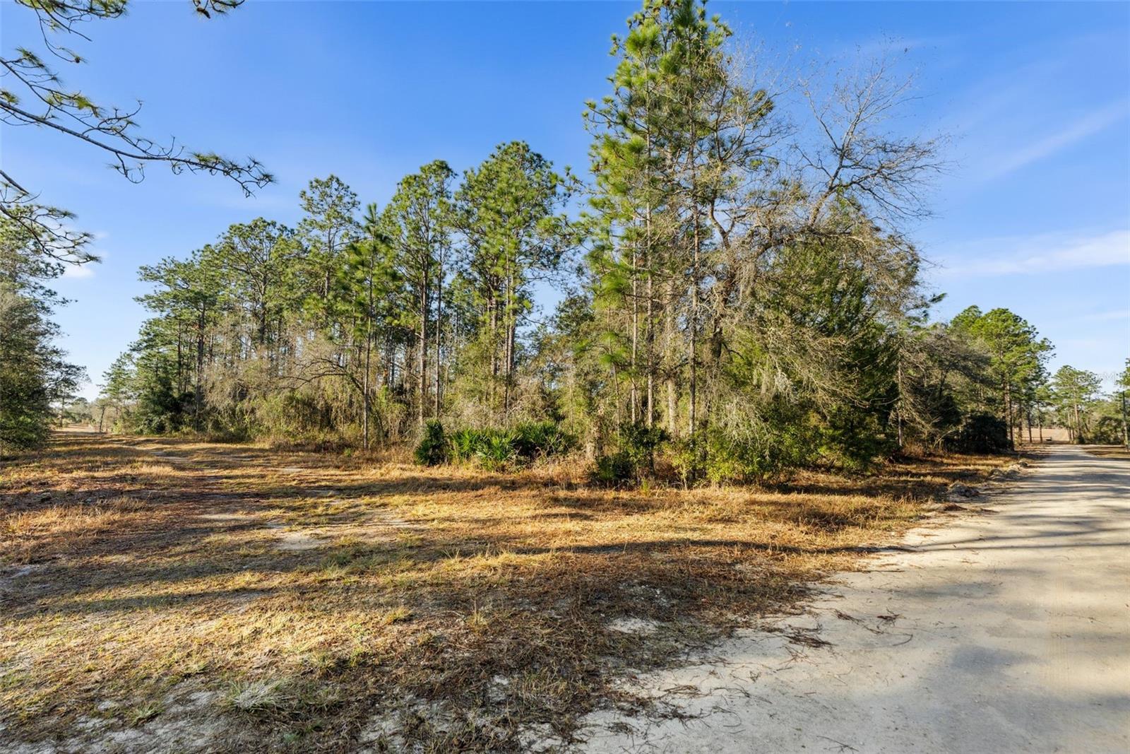 WILLISTON HLNDS - Land