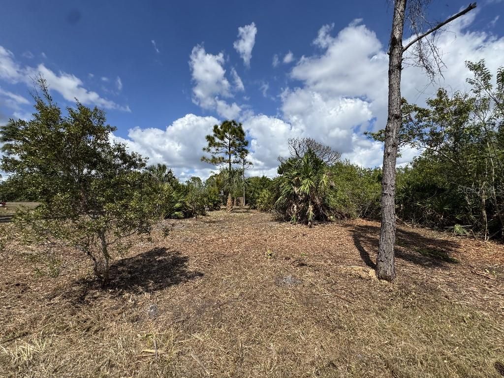 Photo of 12238 Zittle Avenue, Port Charlotte, FL 33981 (MLS # TB8487705)