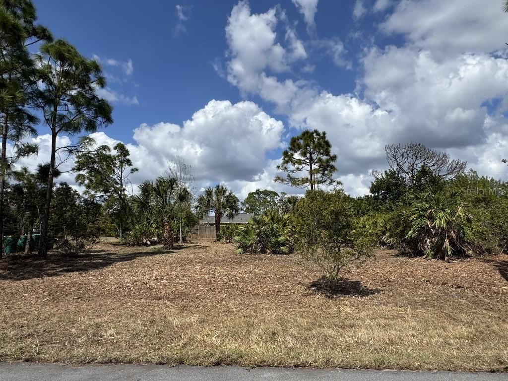 Photo of 12238 Zittle Avenue, Port Charlotte, FL 33981 (MLS # TB8487705)