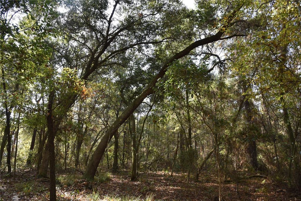 Photo of 1220 SE Us Highway 301, Hawthorne, FL 32640 (MLS # OM714177)