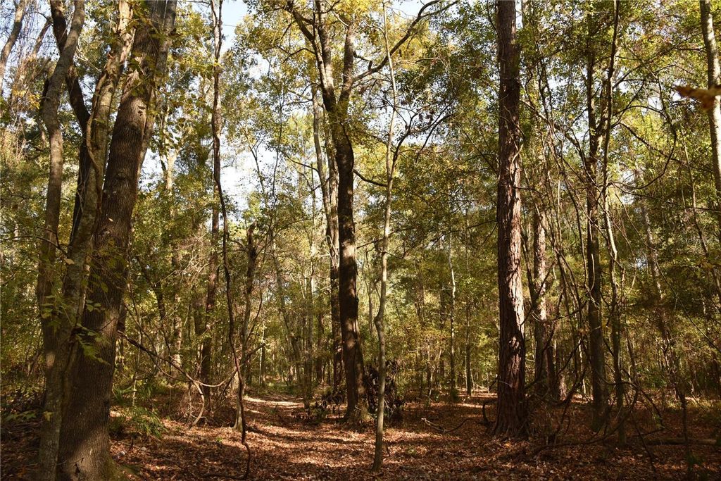 Photo of 1220 SE Us Highway 301, Hawthorne, FL 32640 (MLS # OM714177)