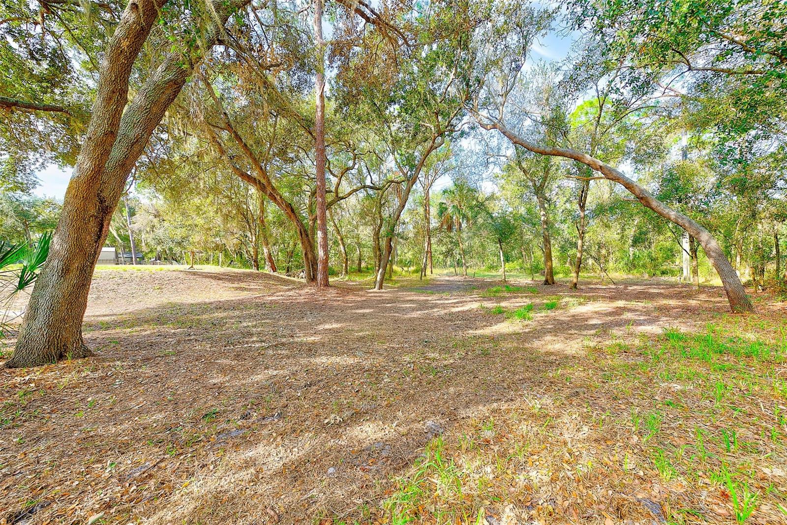 WILLOW SHORES - Residential