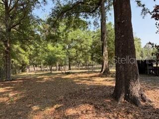 NOT IN SUBDIVISION - Residential