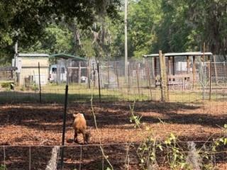 NOT IN SUBDIVISION - Residential