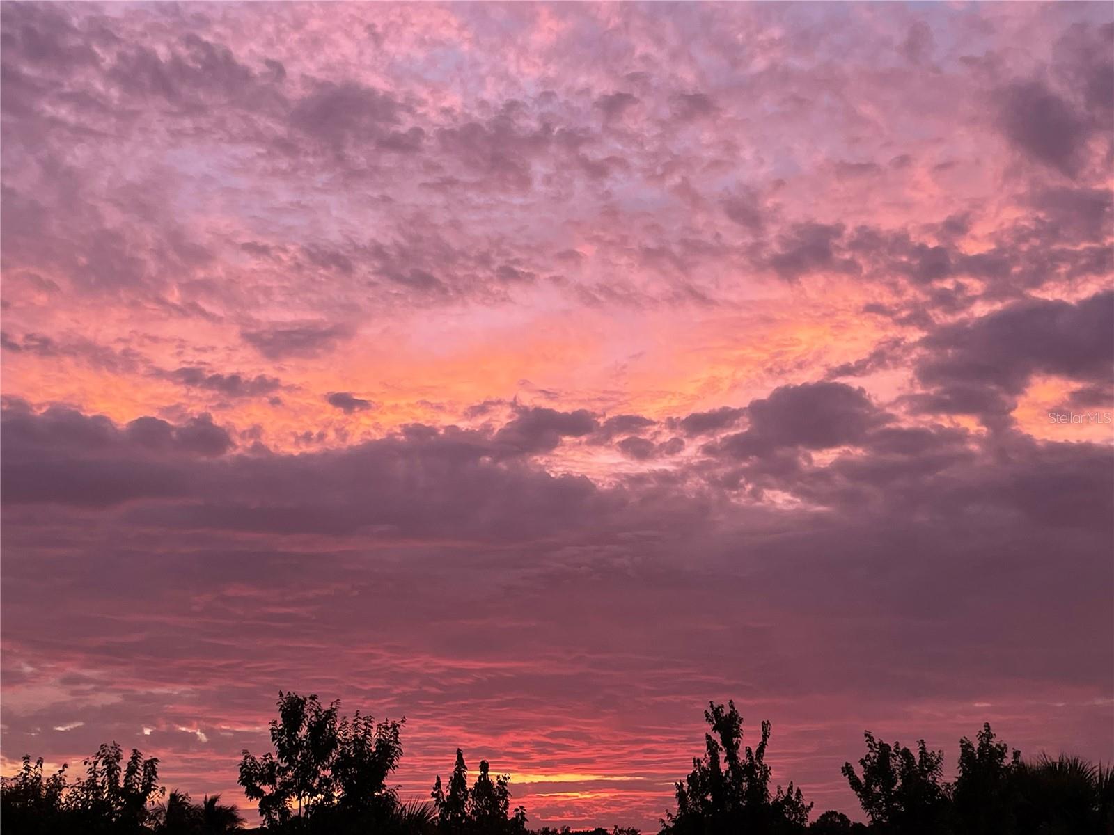 HAMMOCK PRESERVE PH 1A - Residential