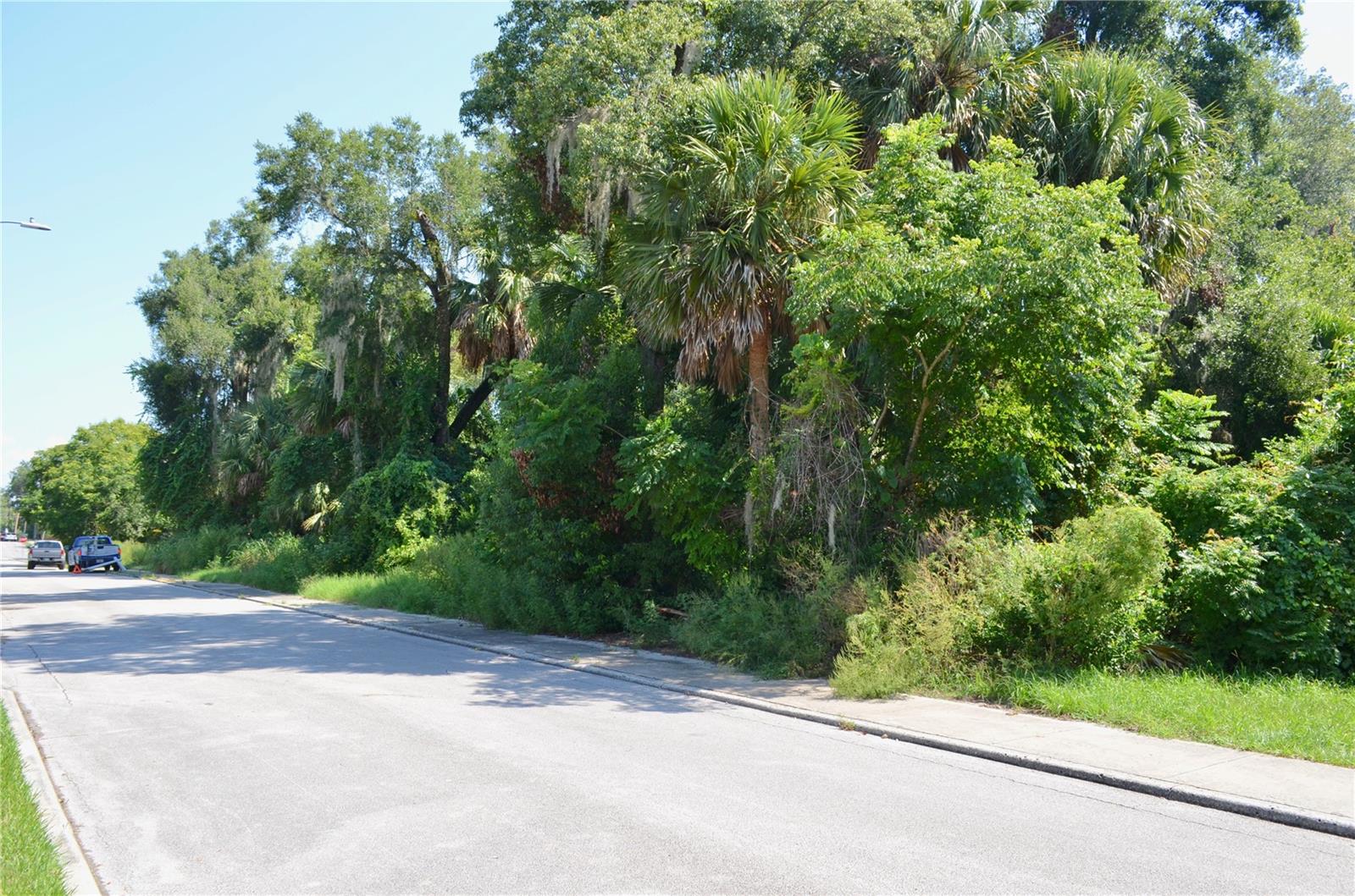 This beautiful lot is now available! Measuring approximately 100' x 84', this lot is located in DeLand's Opportunity Zone conveniently located close to the Downtown DeLand area and 1 mile to Stetson University. The location offers easy access to charming restaurants, plenty of shopping and entertainment, year round parades, festivals, and events! The adjoining lot, which is the same size, is also for sale: V4944570