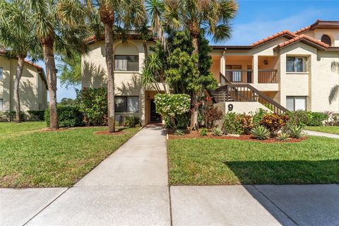 A home in PALM HARBOR