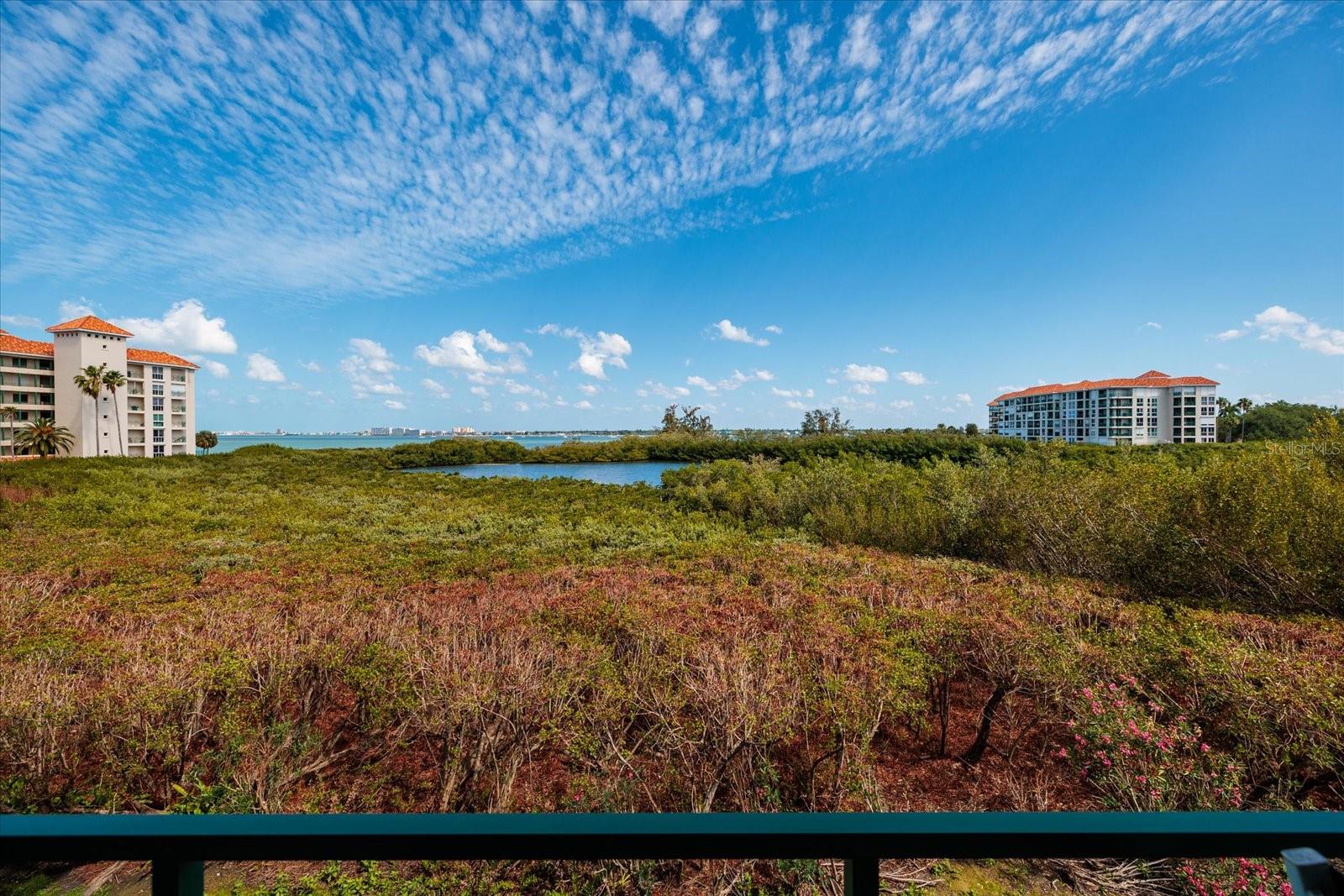 OSPREY POINTE AT DOLPHIN - Residential