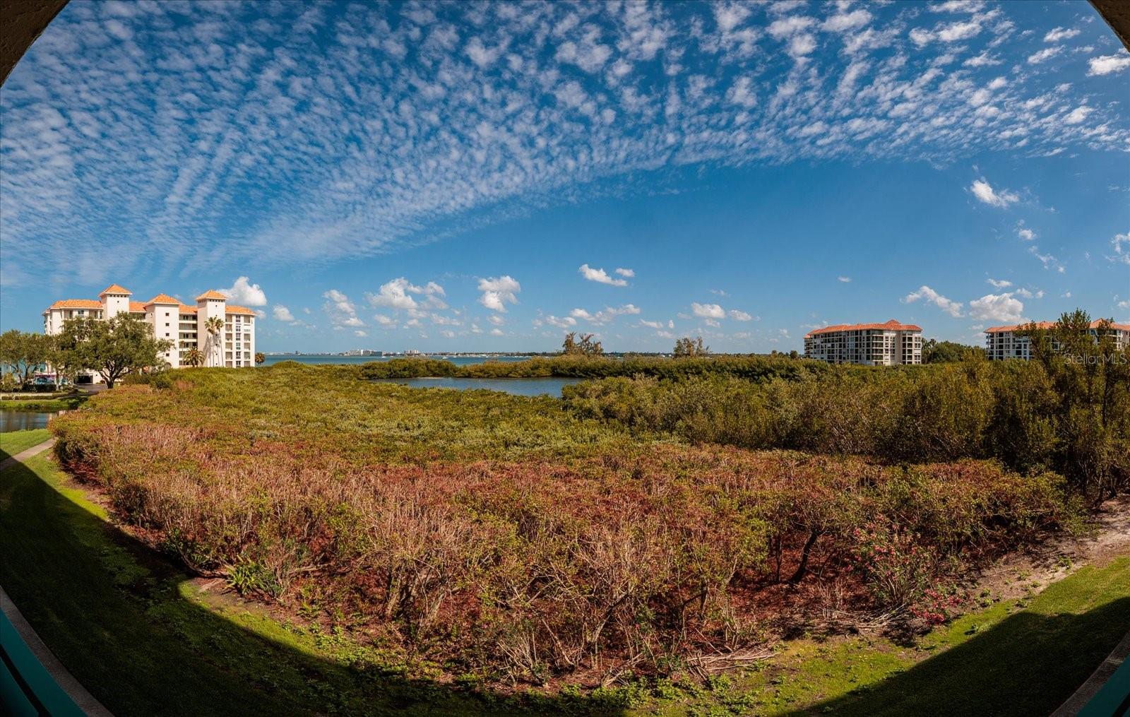 OSPREY POINTE AT DOLPHIN - Residential