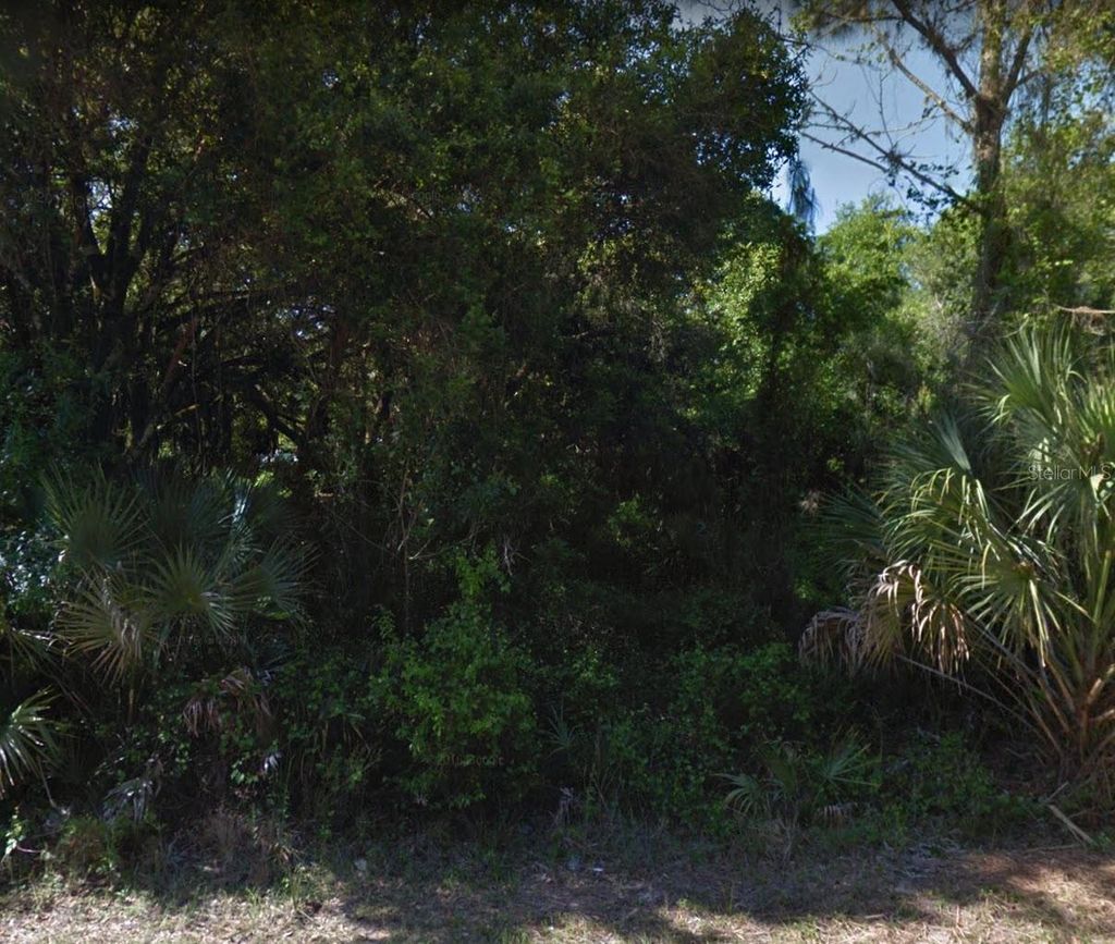 Photo of 18113 Luscar Avenue, Port Charlotte, FL 33954 (MLS # C7453768)