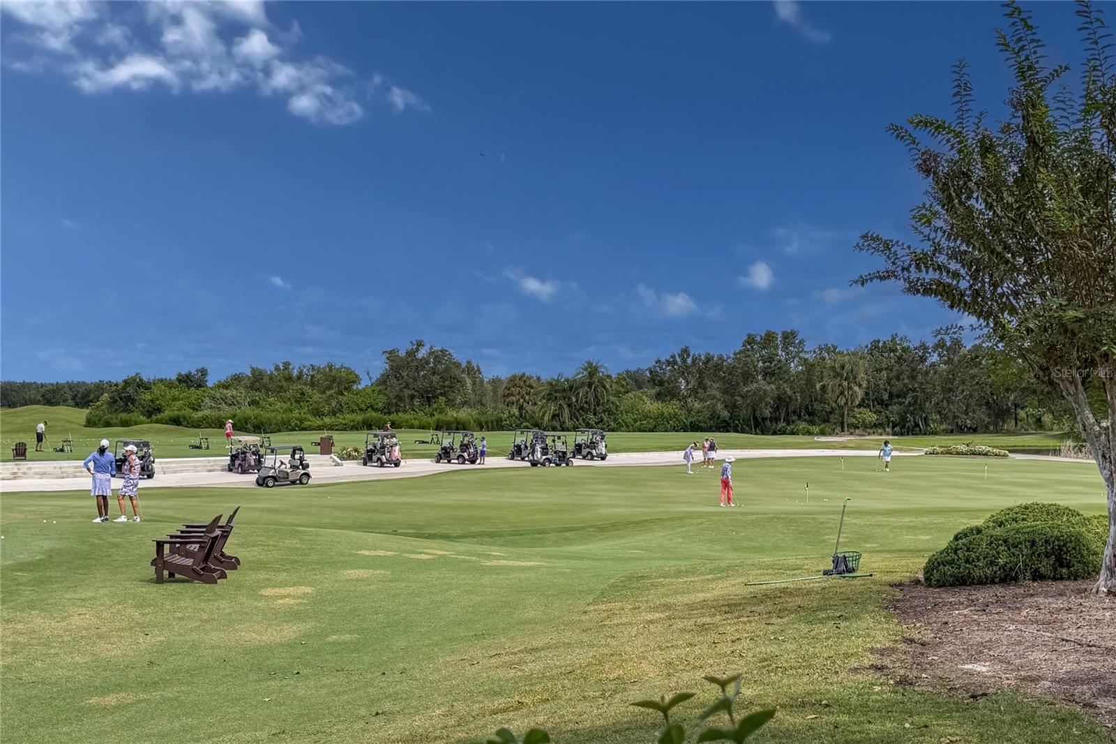 LAKEWOOD RANCH COUNTRY CLUB VILLAGE AA 1&2 - Residential