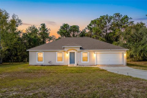 Photo of 16061 Cave Swallow Road, Brooksville, FL 34614 (MLS # W7880782)