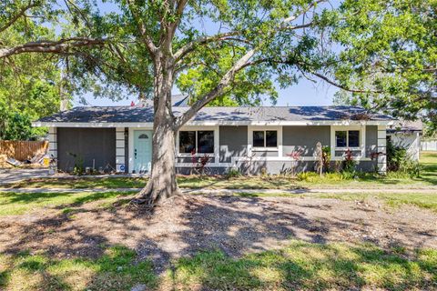 Photo of 401 Patica Road NE, St Petersburg, FL 33702 (MLS # TB8440238) Photo of 401 Patica Road NE, St Petersburg, FL 33702 (MLS # TB8440238)