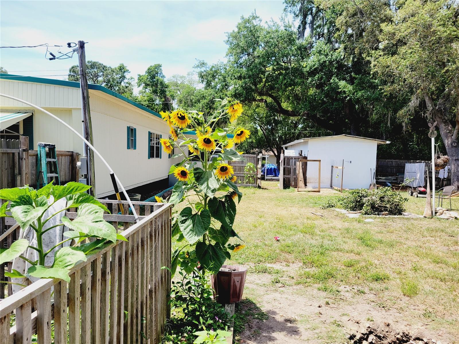 PINE LAKE - Residential