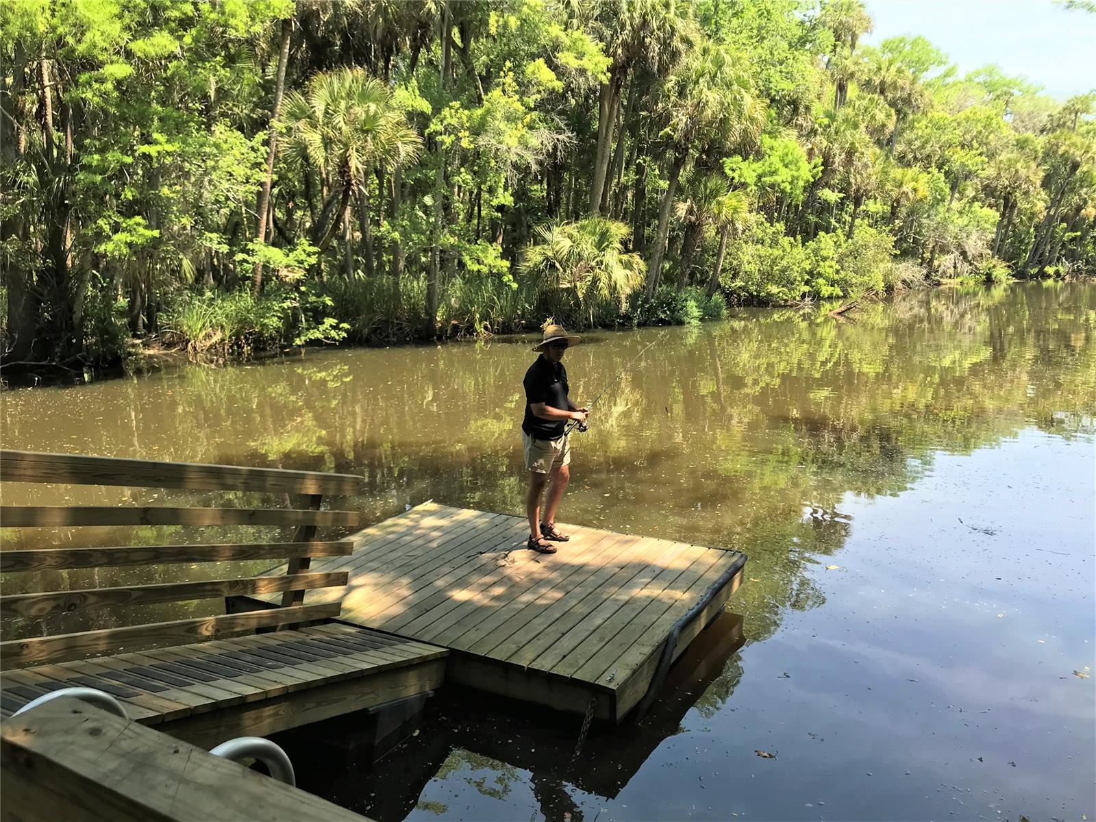 Wedgewood At Spruce Creek - Residential