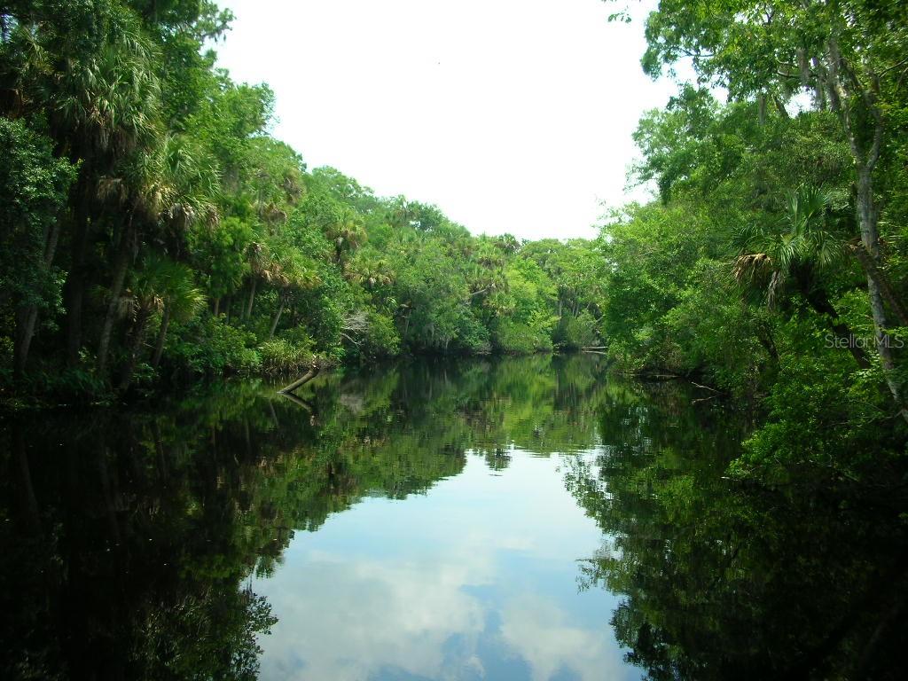 Wedgewood At Spruce Creek - Residential