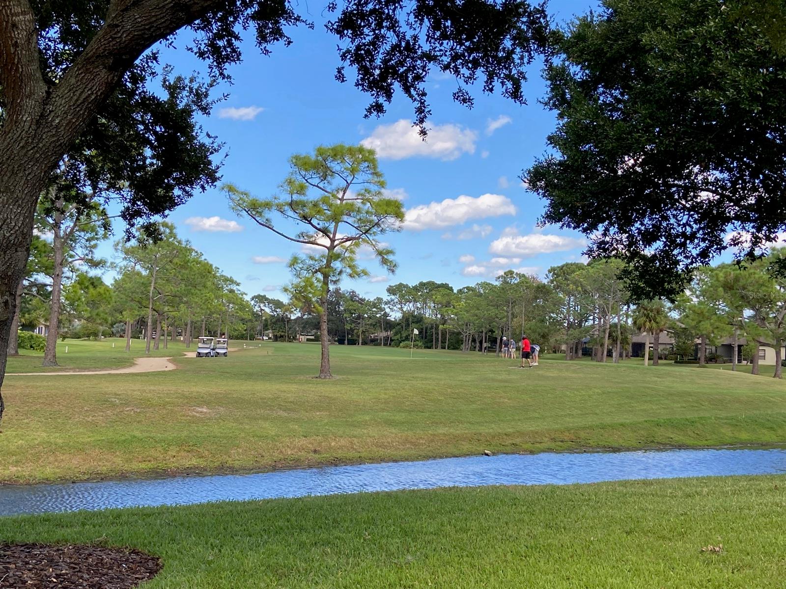 Wedgewood At Spruce Creek - Residential