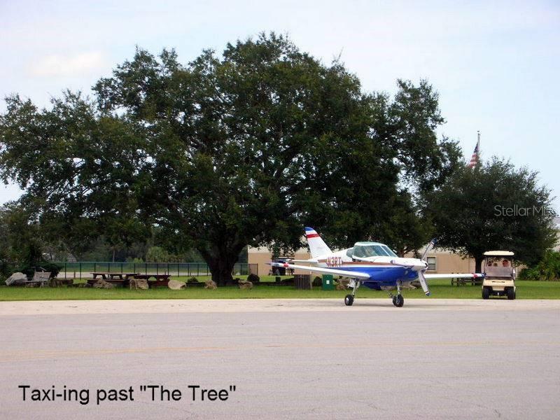 Wedgewood At Spruce Creek - Residential