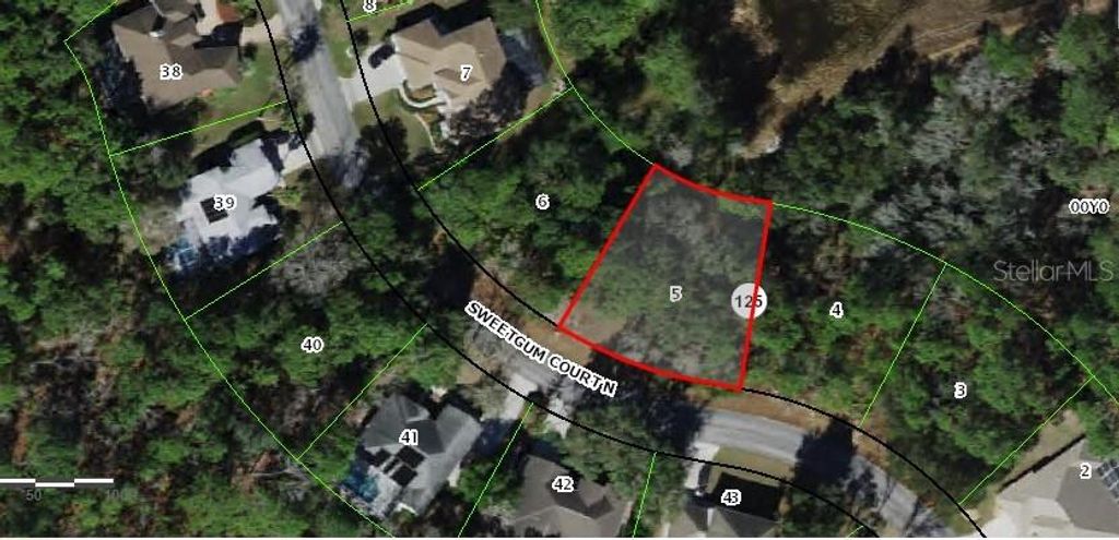 Photo of 9 Sweetgum Court N, Homosassa, FL 34446 (MLS # C7516959)