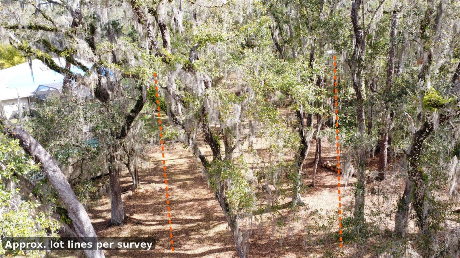 FOX WOOD PLANTATION - Land