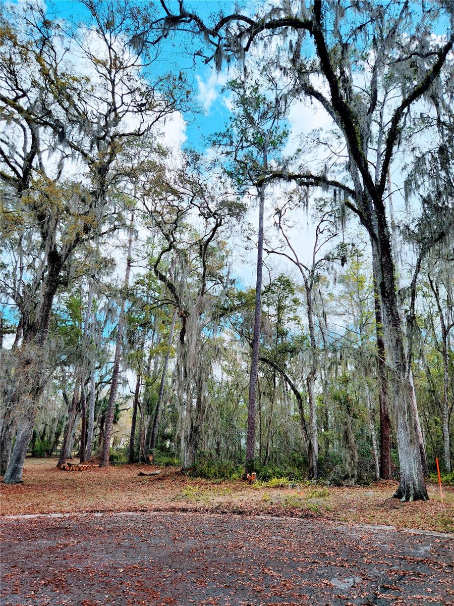 FOX WOOD PLANTATION - Land