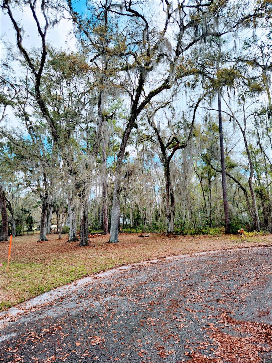 FOX WOOD PLANTATION - Land