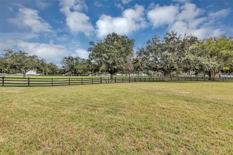 Tiny photo for 29030 Can Do Lane, Tavares, FL 32778 (MLS # V4944983)